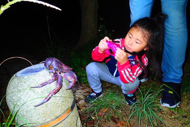 [Okinawa Miyako] Natural Planetarium! Starry Sky & Subtropical Jungle Night Tour - Cancellation Policy