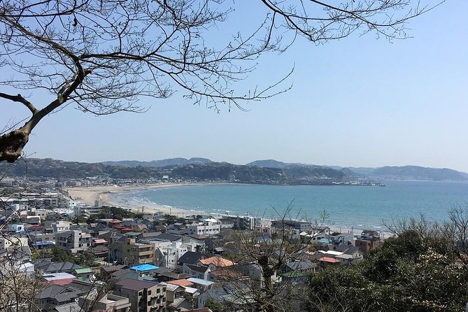 Private Car Tour to See Highlights of Kamakura, Enoshima, Yokohama From Tokyo - Reviews and Testimonials