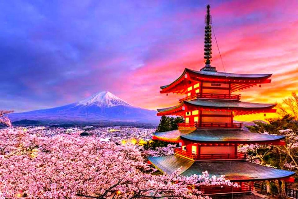 Private Guided Tour in Mount Fuji and Hakone - Itinerary and Flexibility