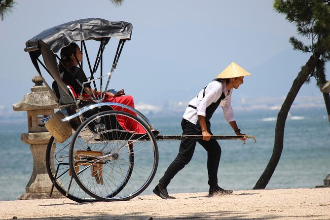 Private Miyajima Rickshaw Tour Including Itsukushima Shrine - Accessibility and Age Restrictions