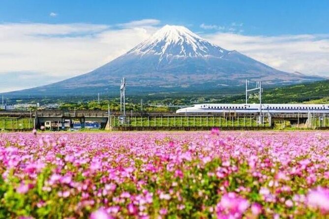 Private Mount Fuji and Hakone Sightseeing Day Trip With Guide - Price and Availability Information
