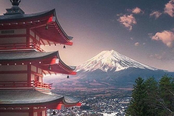 Private Sightseeing to Mt Fuji and Hakone Guide - Reviews