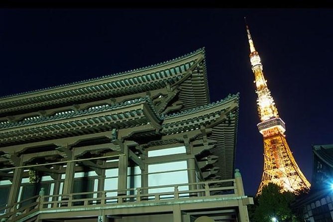 Private Tour Tokyo - the Harmony of Modernity and Tradition - Accessibility and Logistics