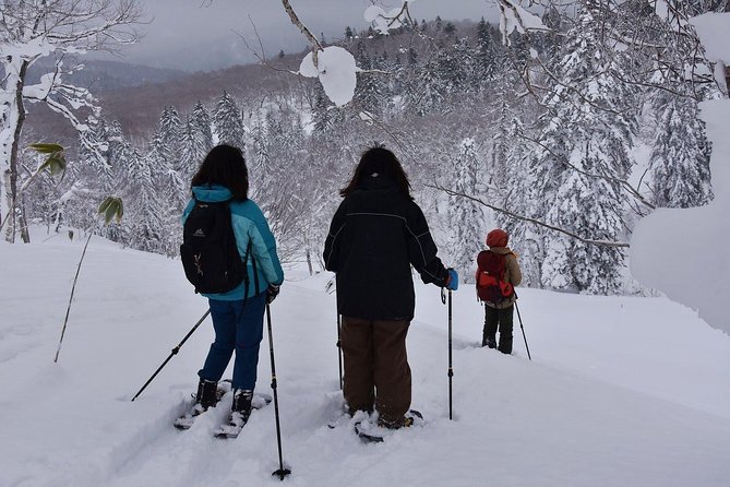 Snowshoe Hike Tour From Sapporo - Meeting and Pickup Details