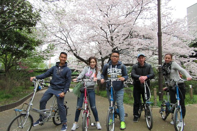 Tokyo by Bike: Skytree, Kiyosumi Garden and Sumo Stadium - What To Expect