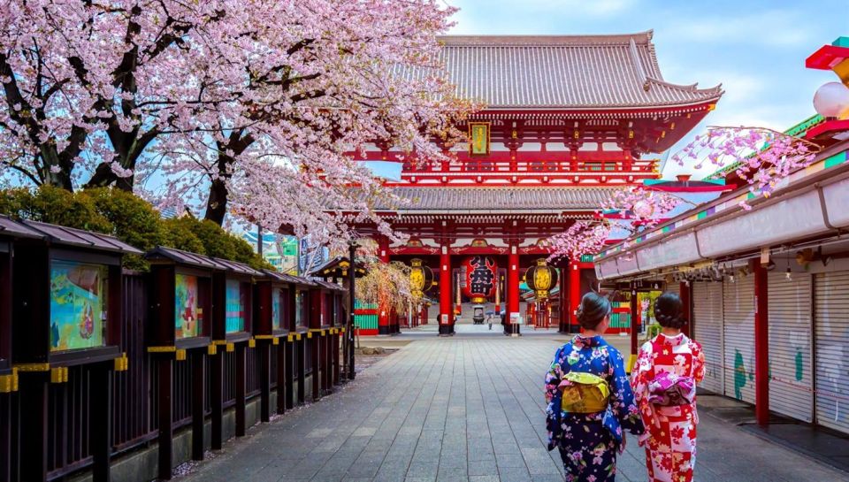 Tokyo: Full Day Private Walking Tour With a Guide - Customization Options