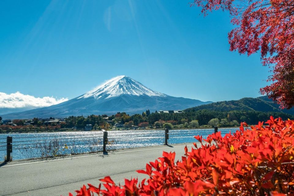 Tokyo: Mt Fuji Area, Lake Ashi, Owakudani, Onsen 1-Day Tour - Important Information