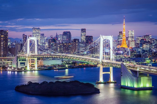 Tokyo Private Sightseeing Tour by English Speaking Chauffeur - Price and Reviews
