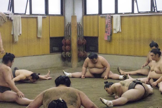 Tokyo Sumo Morning Practice Tour at Stable - Inclusions and Services Provided