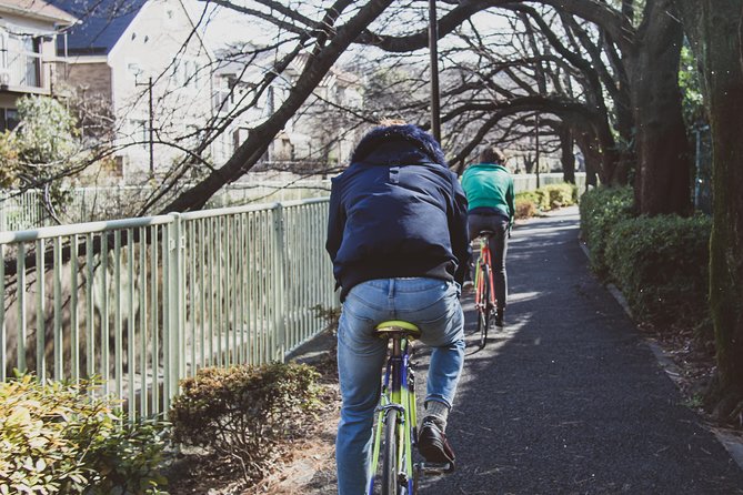 Tokyo West-Side Classic Road Bike Tour - Reviews