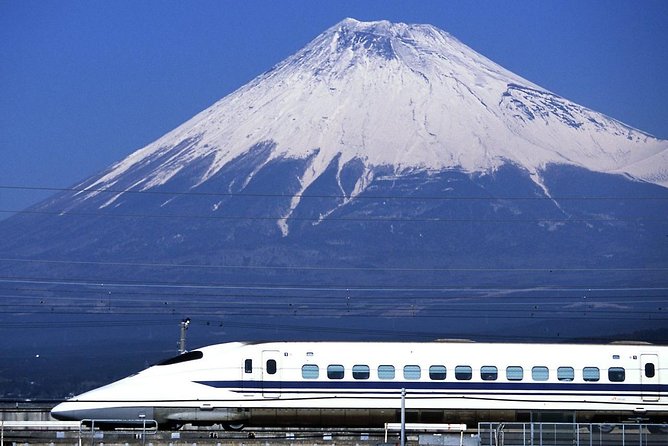 1 Day Charter Tour to Mt Fuji View - Inclusions and Pricing Details