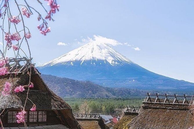 1 Day Fully Customized Tour to Mt Fuji With English & Hindi Speak - Customer Reviews