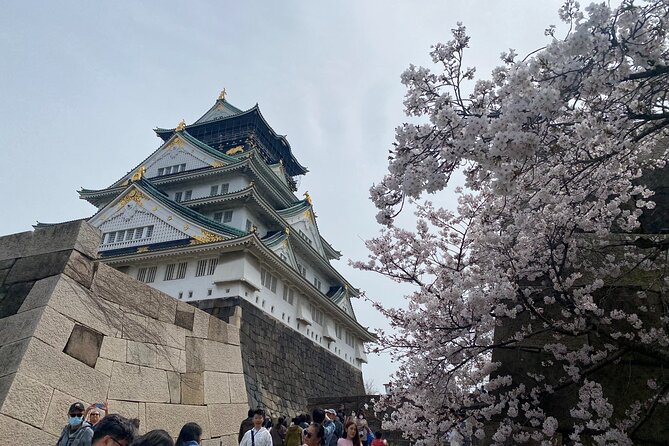 6 Hours Private Foodie Tour From Osaka Castle & Kuromon Market - Customer Reviews