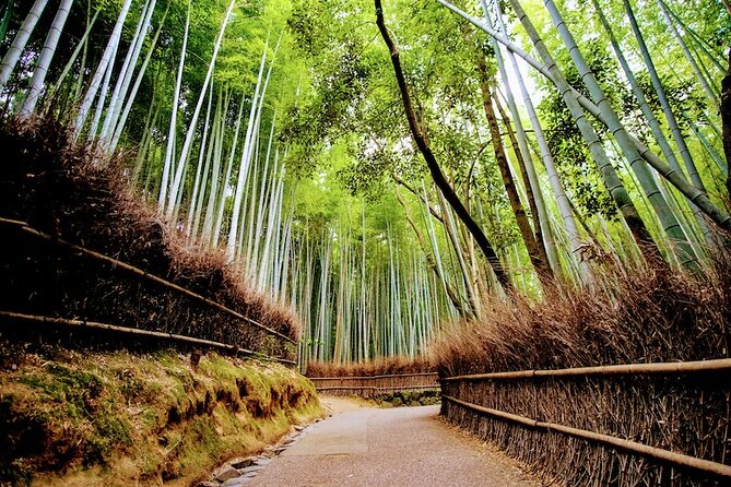 Arashiyama Walking Tour - Bamboo Forest, Monkey Park & Secrets - Multilingual Speaking Guide