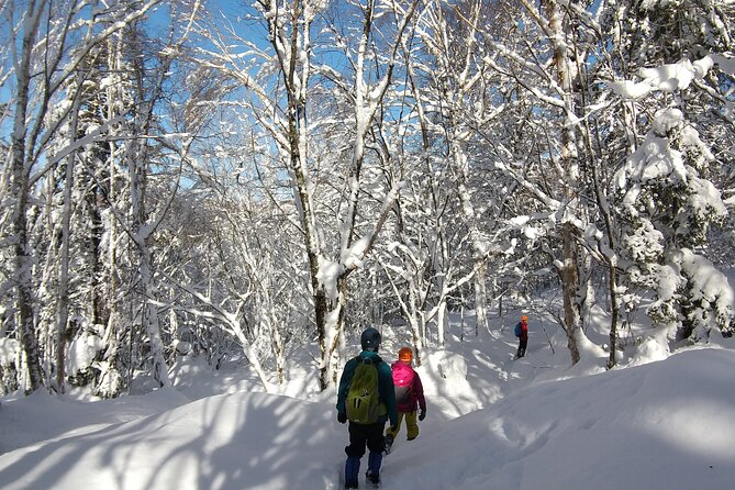 Frozen Fall Trekking - Reservation and Cancellation Policy