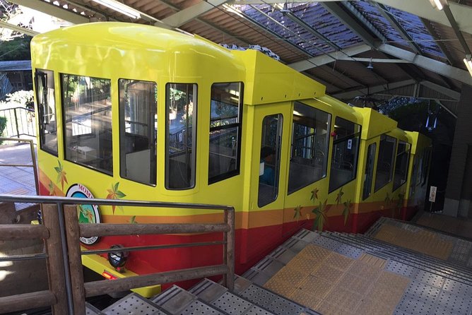 Full Day Hiking Tour at Mt.Takao Including Hot Spring - Reviews