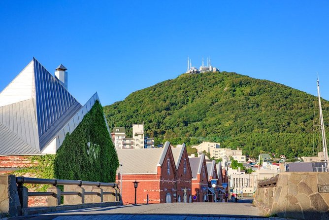 Hakodate Full-Day Private Tour With Government-Licensed Guide - Customer Reviews