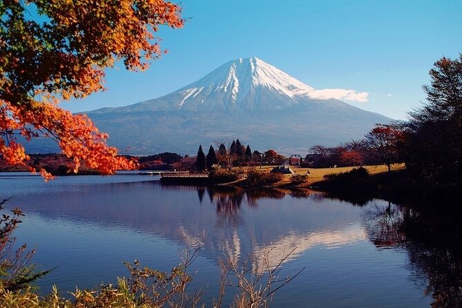 Hakone 8 Hour Private Tour With Government-Licensed Guide - Customization Options