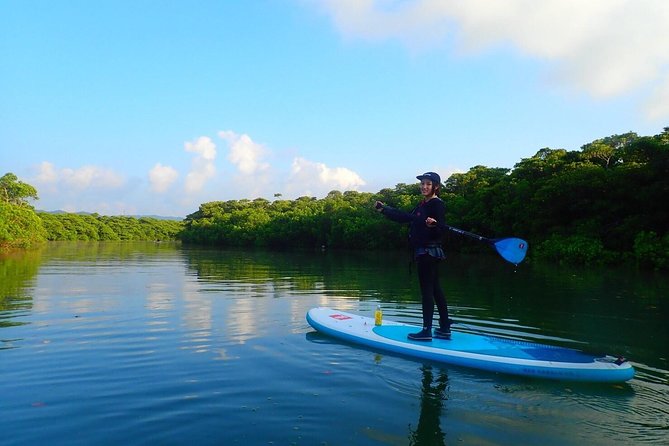 [Ishigaki]Mangrove SUP/Canoe Tour - Pricing and Booking