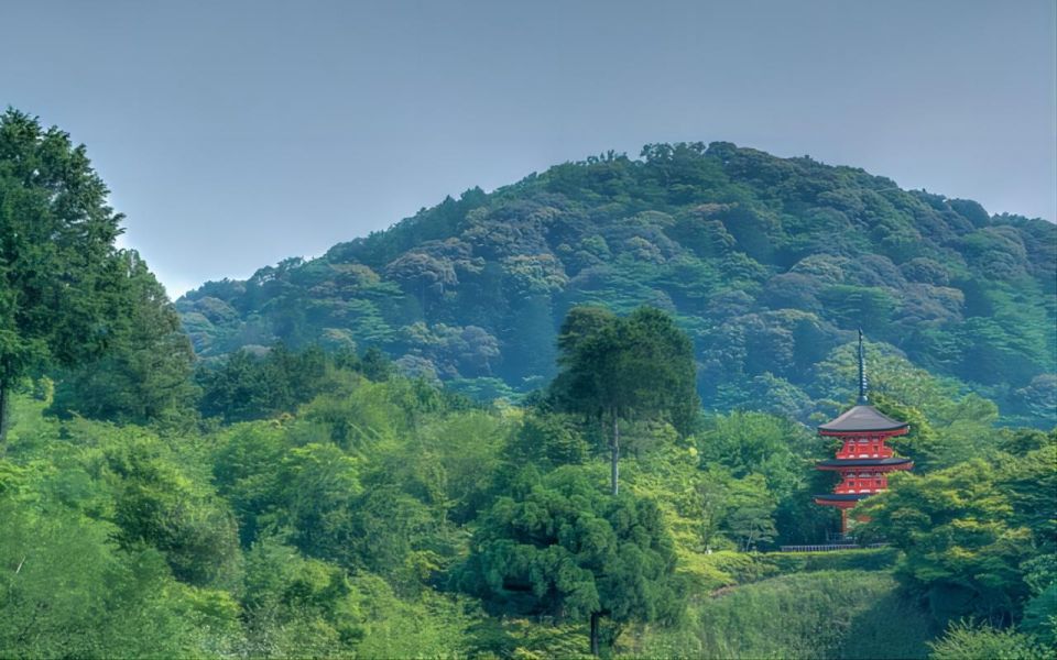 Kyoto: 10-Hour Customizable Private Tour With Hotel Transfer - Tour Pricing and Availability