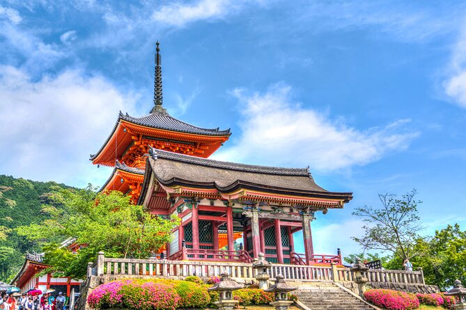 Kyoto Full Day (8 Hours) Sightseeing Privatetour - Pricing and Reviews