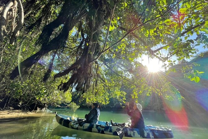 Mangrove Kayaking to Enjoy Nature in Okinawa - Pricing and Reservations