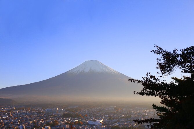 Mt. Fuji and Lake Kawaguchi Day Trip With Private Car - Enhancing Customer Satisfaction