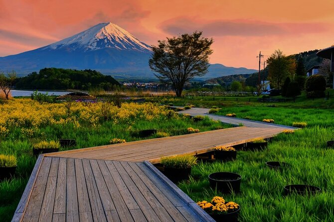 Mt. Fuji Five Lakes Area Private Tour With Licensed Guide(Kawaguchiko Area Dep) - Customer Feedback