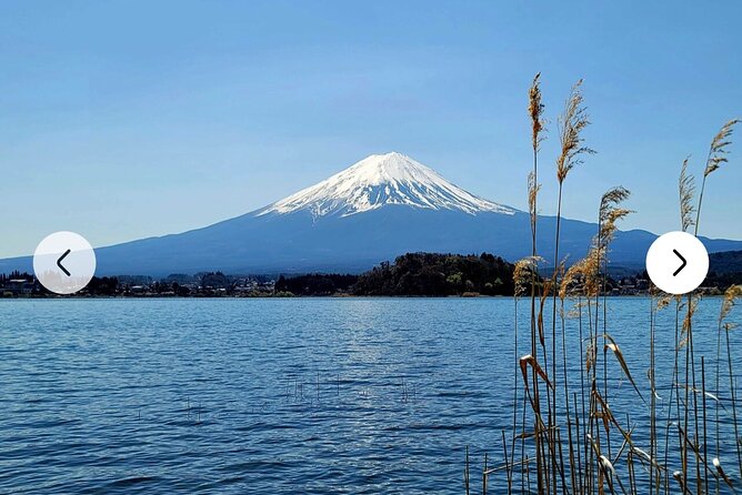 Mt. Fuji, Hakone Full-Day Private Tour With English Driver Guide - Price and Guarantees