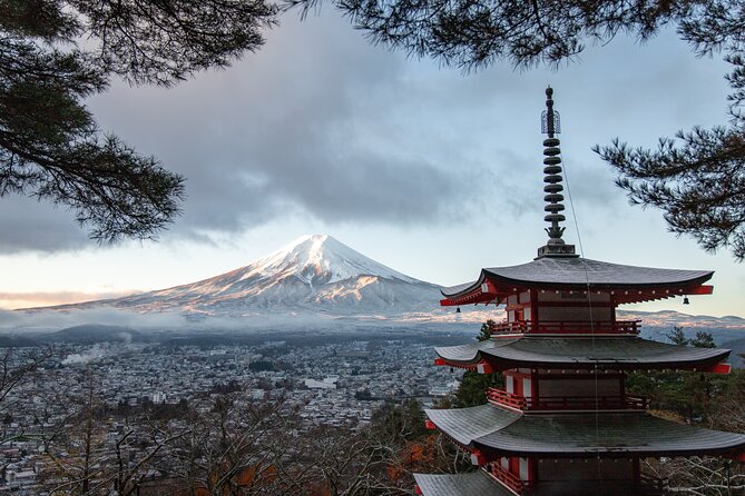 Mt Fuji, Hakone Private Tour by Car With Pickup - Pickup Details