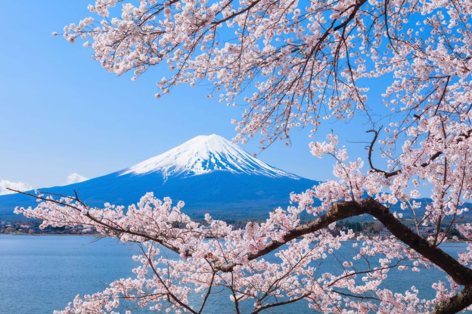 Mt. Fuji, Panoramic Ropeway & Seasonal Fruits Picking - Reservation and Location Details