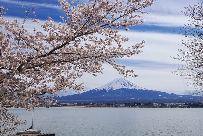 Mt. Fuji Private Tour With English Speaking Driver - Customer Reviews and Recommendations