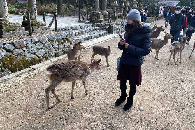 Nara Full-Day Private Tour With Government-Licensed Guide - Booking Details