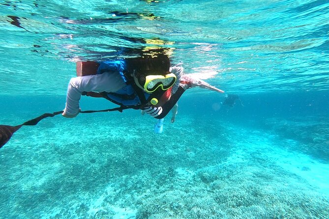 [Okinawa Iriomote] Snorkeling Tour at Coral Island - Price and Booking