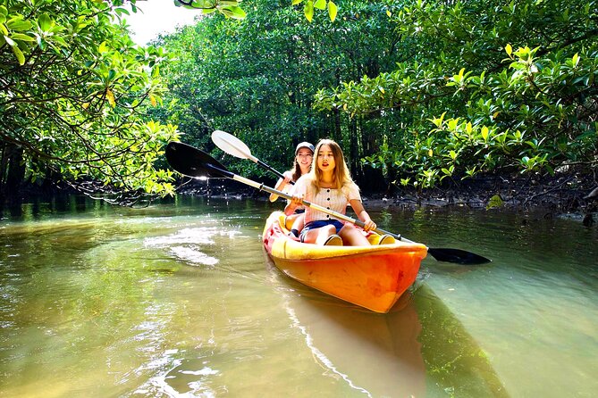 [Okinawa Iriomote] Sup/Canoe Tour in a World Heritage - Pickup Details and Confirmation