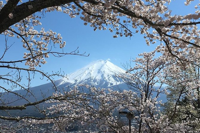 Private Car Tour to Mt. Fuji Lake Kawaguchiko or Hakone Lake Ashi - Booking Information