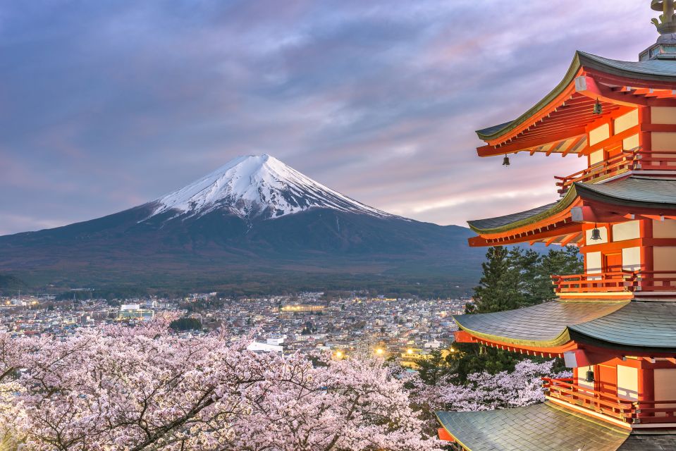 Private Full Day Sightseeing Tour to Mount Fuji and Hakone - Additional Information