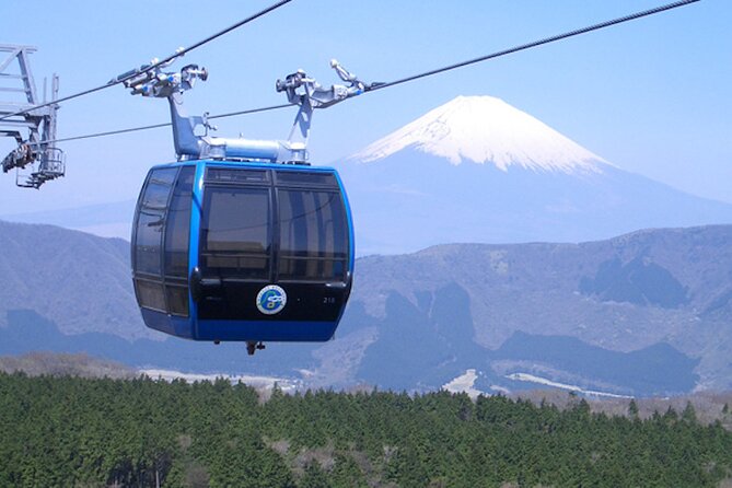 Private Guided Sightseeing Full Day Tour In Mt. Fuji And Hakone - Cancellation Policy