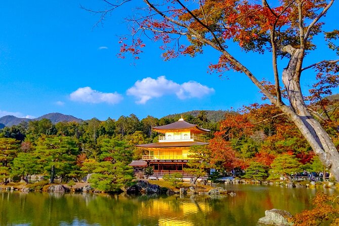 Private Kyoto Day Trip With English Speaking Driver - Customer Satisfaction and Experiences