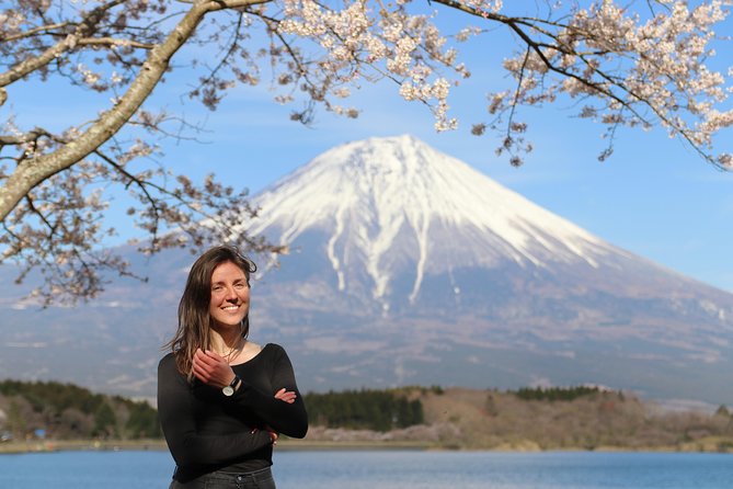 Private Mt Fuji Tour From Tokyo: Scenic BBQ and Hidden Gems - Traveler Reviews Summary