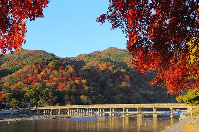 Sagano Romantic Train & Arashiyama, Kiyomizudera, Fushimi Inari Taisha Day Tour - Traveler Recommendations