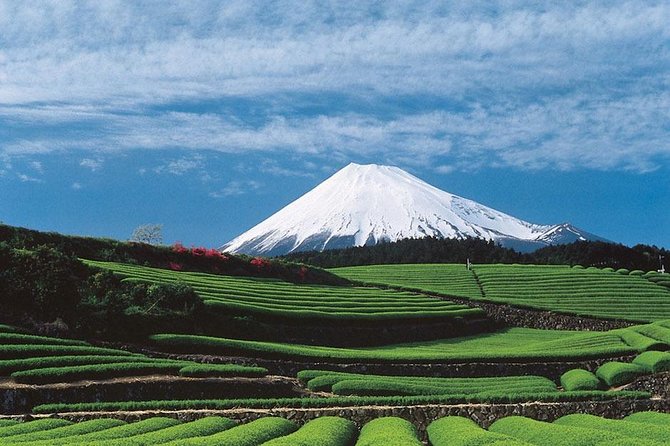 Shizuoka/Shimizu Mt Fuji View 6 Hr Private Tour: Guide Only - Tour Logistics
