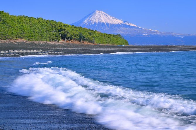 Sightseeing Around Shimizu Port for Cruise Ship Passengers - Reviews and Customer Experiences