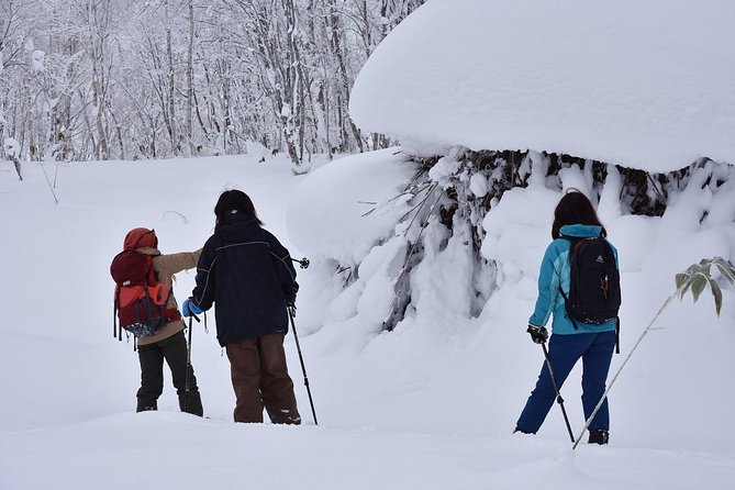 Snowshoe Hike Tour From Sapporo - Additional Information
