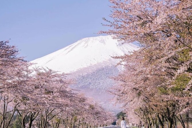 1 Day Fully Customized Tour to Mt Fuji With English & Hindi Speak - Host Responses