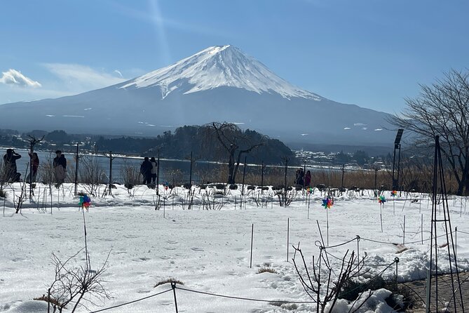 1 Day Tour Mt Fuji,Lake Kawaguchiko With English Speaking Guide - Last Words
