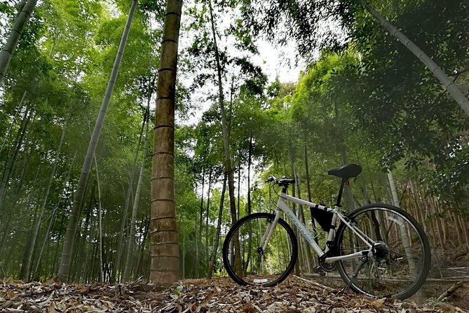 Arashiyama Bamboo Bike Tour (Early Bird) - Host Responses