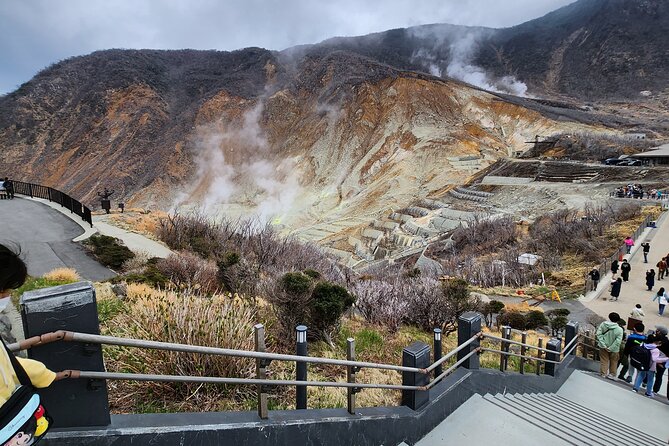 Day Private Tour of Hakone With English Speaking Driver - Price and Reviews