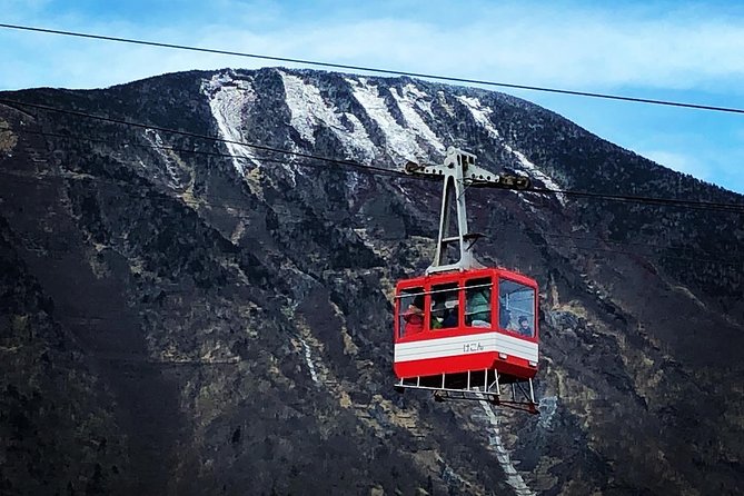 Explore Nikko in a Day - Private Car With English Speaking Driver - Tour Pricing