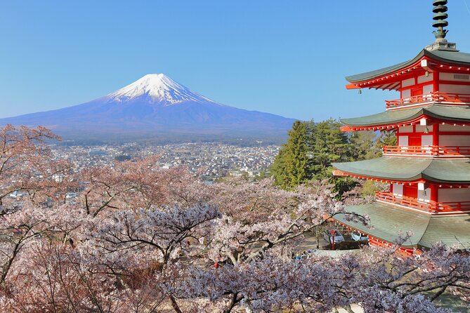 Full Day Tour to Mount Fuji in Spanish - Accessibility Details